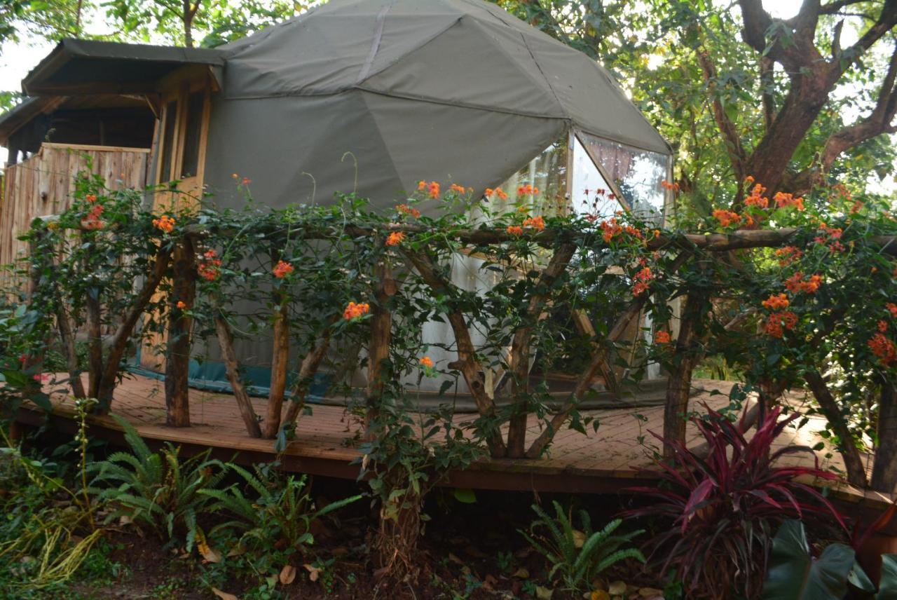 Jinja Backpackers Hostel ภายนอก รูปภาพ